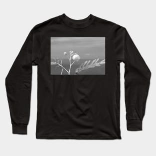 Potential Long Sleeve T-Shirt